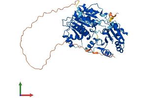 Protein Structure (PS) image for DEAD (Asp-Glu-Ala-Asp) Box Polypeptide 6 (DDX6) (AA 1-483) protein (His tag) (ABIN7556172)