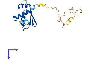 RPS10 Protein (AA 1-165) (His tag)