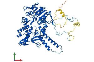 Protein Structure (PS) image for 5'-Nucleotidase, Cytosolic II (NT5C2) (AA 1-561) protein (His tag) (ABIN7551778)