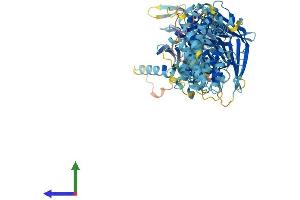 Protein Structure (PS) image for Pigeon Homolog (PION) (AA 1-854) protein (His tag) (ABIN7554045)