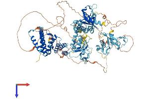 AlphaFold protein structure predicition of Human Recombinant ZC3H7A Protein, UniprotID Q8IWR0