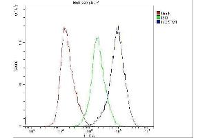 Flow Cytometry analysis of HELA cells using anti-GSTM1 antibody (ABIN5693233).