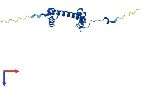H2AFJ Protein (AA 1-129) (His tag)
