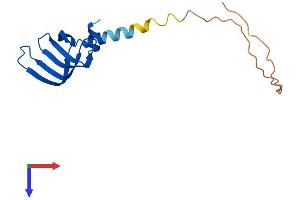 LSM4 Protein (AA 1-139) (His tag)