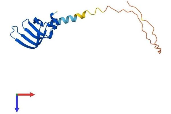 LSM4 Protein (AA 1-139) (His tag)