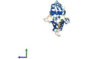 Protein Structure (PS) image for O6-Methylguanine-DNA-Methyltransferase (MGMT) (AA 1-211) protein (His tag) (ABIN7563015)