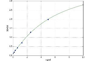 serum Amyloid A-Like 1 (SAAL1) ELISA Kit