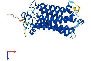 PAQR5 Protein (AA 1-330) (His tag)