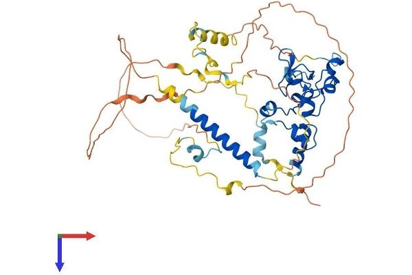 CDCA7L Protein (AA 1-454) (His tag)