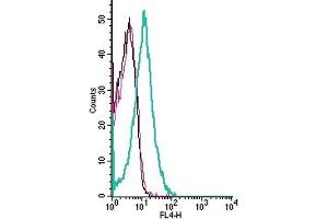 Cell surface detection of FLRT3 by indirect flow cytometry in live intact human Jurkat T-cell leukemia cell line: + goat-anti-rabbit-APC. (FLRT3 Antikörper  (Extracellular))