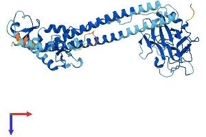 TRIM68 Protein (AA 1-485) (His tag)