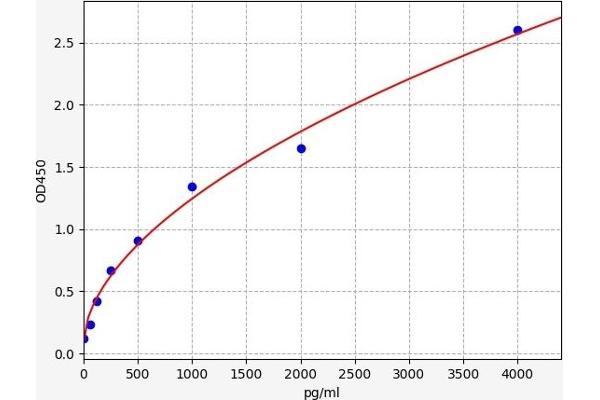 IL2 Receptor beta ELISA Kit