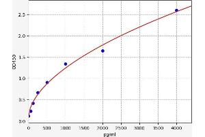 Typical standard curve (IL2 Receptor beta ELISA Kit)