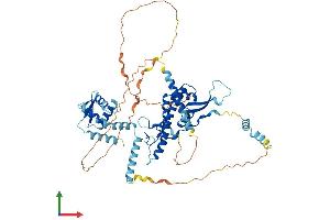 Protein Structure (PS) image for Chromatin Licensing and DNA Replication Factor 1 (CDT1) (AA 1-557) protein (His tag) (ABIN7559760)