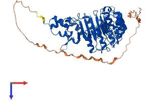 FBXL16 Protein (AA 1-479) (His tag)