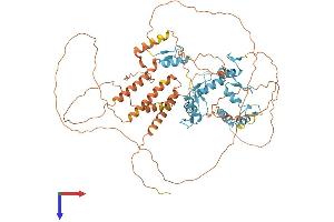 PATZ1 Protein (AA 1-687) (His tag)