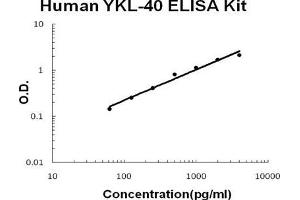 Human Chitinase 3-like 1/YKL-40 PicoKine ELISA Kit standard curve (CHI3L1 ELISA Kit)