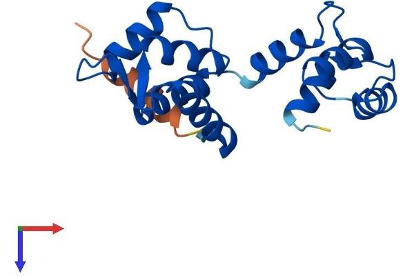 CETN3 Protein (AA 1-167) (His tag)
