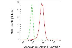 Flow cytometric analysis of Annexin A3 expression in HepG2 cells using Annexin A3 antibody (ABIN7797618), 1:2,000). (Annexin A3 Antikörper)