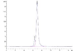 The purity of Biotinylated Human ITGA5&ITGB1 is greater than 90 % as determined by SEC-HPLC. (Integrin alpha 5 beta 1 (ITGA5 & ITGB1) Heterodimer (AA 42-995) protein (His-Avi Tag,Biotin))