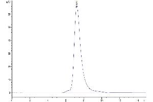 Size-exclusion chromatography-High Pressure Liquid Chromatography (SEC-HPLC) image for Leukocyte Immunoglobulin-Like Receptor B3 (LILRB3) (AA 24-443) protein (His-Avi Tag) (ABIN7275189)