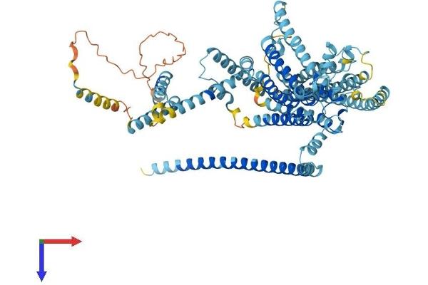 TMC1 Protein (AA 1-760) (His tag)