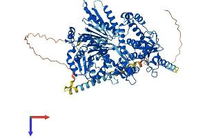 DHX15 Protein (AA 1-795) (His tag)
