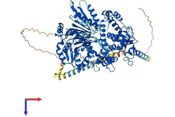 DHX15 Protein (AA 1-795) (His tag)