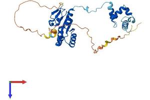ERCC1 Protein (AA 1-298) (His tag)