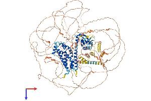 PLEKHG2 Protein (AA 1-1340) (His tag)