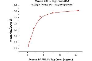 Immobilized Mouse BAFF, Tag Free (ABIN6386416,ABIN6388247) at 2 μg/mL (100 μL/well) can bind Mouse BAFFR, Fc Tag (ABIN5526590,ABIN5526591) with a linear range of 0. (BAFF Protein (AA 127-309))