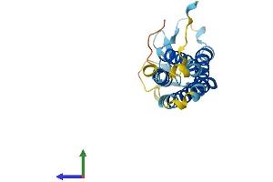 Protein Structure (PS) image for TP53 Apoptosis Effector (PERP) (AA 1-193) protein (His tag) (ABIN7561626)
