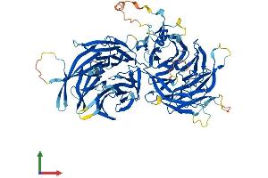 Protein Structure (PS) image for Elongator Acetyltransferase Complex Subunit 2 (ELP2) (AA 1-826) protein (His tag) (ABIN7553772)