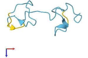 MT1A Protein (AA 1-61) (Fc Tag)