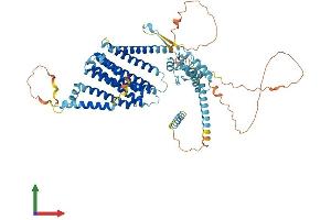 Protein Structure (PS) image for Autocrine Motility Factor Receptor (AMFR) (AA 1-643) protein (His tag) (ABIN7552023)