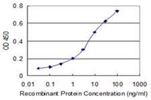 Detection limit for recombinant GST tagged CACNA1I is 0. (CACNA1I Antikörper  (AA 233-331))