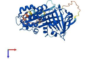 SERPINB10 Protein (AA 1-397) (His tag)