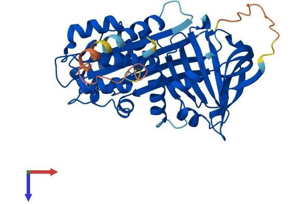 SERPINB10 Protein (AA 1-397) (His tag)