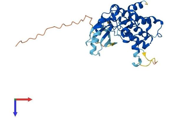 PBK Protein (AA 1-322) (His tag)