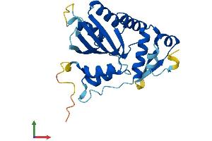 Protein Structure (PS) image for Apolipoprotein B mRNA Editing Enzyme, Catalytic Polypeptide 1 (APOBEC1) (AA 1-236) protein (His tag) (ABIN7551874)