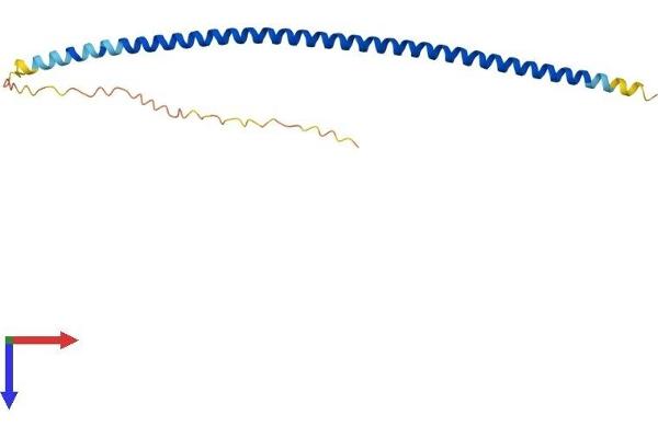 FAM9B Protein (AA 1-186) (His tag)