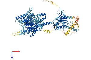 SLC26A4 Protein (AA 1-780) (His tag)