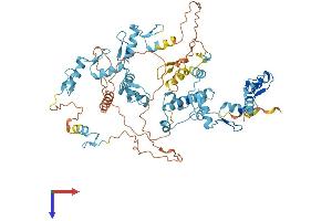 ZNF90 Protein (AA 1-636) (His tag)
