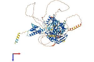 USP33 Protein (AA 1-942) (His tag)
