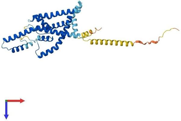 KCNK1 Protein (AA 1-336) (His tag)