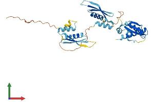Protein Structure (PS) image for Protein Kinase, Interferon-Inducible Double Stranded RNA Dependent Activator (PRKRA) (AA 1-313) protein (His tag) (ABIN7551036)