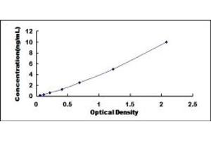 Typical standard curve (FBLN7 ELISA Kit)