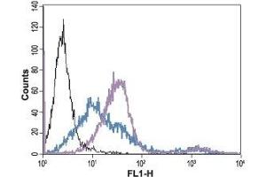 Flow Cytometry (FACS) image for anti-Angiotensin II Receptor, Type 1 (AGTR1) (AA 4-18), (Extracellular) antibody (ABIN7042922)
