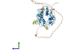 AlphaFold protein structure predicition of Human Recombinant ZNF439 Protein, UniprotID Q8NDP4