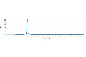 The purity of Anti-TGFb1 Reference Antibody (M7824) is 96. (Rekombinanter TGFB1 Antikörper)